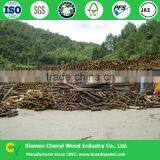 Chinese Fir Edge Glued Solid Wood Panels thumbnail-4