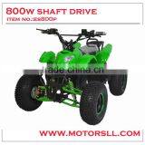 Electric ATV Quad bike 800W BUSHLESS MOTOR