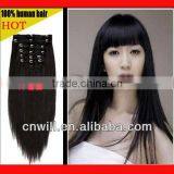26 Inch Human Hair Remy Clip in Hair Extensions