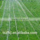 Water Saving Micro Spraying Tape Making Machine thumbnail-6