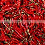 Chinese dried red chilli