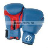 Professional Boxing Gloves