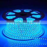 High Quality Top Sale SMD Rope Light for Ceiling Decoration thumbnail-2