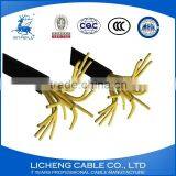 KVV 12*2.5mm2 Control Cable for Multicab Use Cable Copper Cable