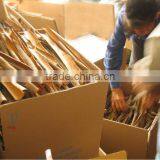 CINNAMON thumbnail-3