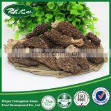 2015 New Dried Black Morel Mushroom/ Honeycomb Morel thumbnail-1