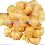 Buy China Organic Water-washed Ginger 2016' thumbnail-3