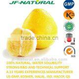 Grapefruit Powder ISO, GMP, HACCP, KOSHER, HALAL Certificated Manufacture thumbnail-1