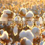 High Quality Plant Growth Ragulator,Mepiquat Chloride thumbnail-6