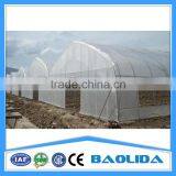 BLD Large Multi-span Plastic Film Greenhouse Commercial Use thumbnail-4