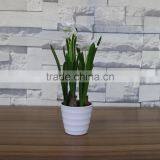 Artificial White Narcissus Flower Bonsai thumbnail-1
