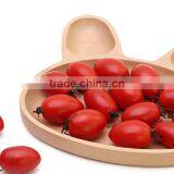 High Grade Creative Cute Rabbit Design Wood Trays for Kinds thumbnail-3