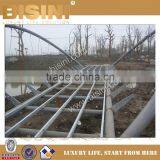 Design and Construction for Steel Structure Bridge, BISINI Easy Fast Installation Inland River Landscape Bridge (BF08-Y10046)