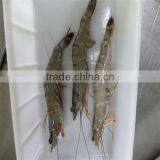 Frozen Lime Shrimp thumbnail-1