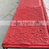 Color Painted Galvanized Roofing Nails thumbnail-4