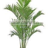 Decor Indoor Artificial Areca Tree Decoration Home Artificial Areca Tree Decor Indoor Office thumbnail-5