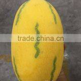 Artificial Similation by 90 % Fruit and Vegetable Prices With Mango, Banana, Starfruit, Pomelo thumbnail-3