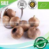 2016 Hot Sale Natural Green Food Organic Black Garlic Single Bulb China thumbnail-6