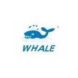 Shenzhen Be Nice Sports Goods Co.,LTD