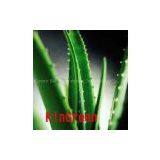 Natural Aloin (10%--98%) thumbnail-1