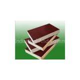 Waterproof Film Faced Plywood thumbnail-1