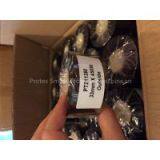 Barcode Ribbon thumbnail-3