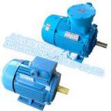 Y2 Series Three-phase Asynchronous Motors thumbnail-3