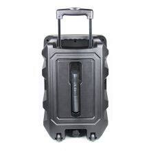 Privated Moulded Portable Trolley Speaker 12'' BK-129 thumbnail-3