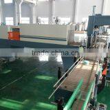 PE Film Shrinking Pack Machine Price