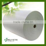 Spunlace Nonwoven Fabric Manufacture