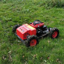China Remote Control Slope Mower for Sale in China thumbnail-1