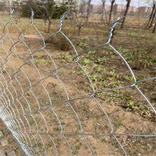 Cerca de malha de arame revestida em PVC para campos esportivos e playgrounds thumbnail-1