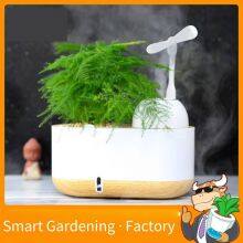 Smart Planting Flower Pot Humidifier, Manufacturer's Product, Business Gift, a Labor-saving Water-storage and Humidifying Gadget for the Lazy thumbnail-4
