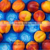 Fruit Plastic Packaging Vegetable Blister Packing Tray thumbnail-4