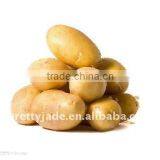 Fresh Holland Potato thumbnail-1