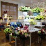 Tianjin Taibo International Trade Co., Ltd. company overview - view 2 thumbnail