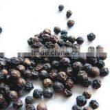 Black Pepper thumbnail-1