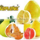 color pomelo (shaddock)