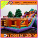 Colourful Design Giant Outdoor Sports Inflatable Dry Slide