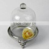 100057SA- Chromed Metal and Glass Dome Holder