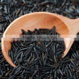 100-500kg/h Extruded Artificial Rice Processing Line/making Machine