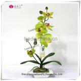 green orchid flower plants wholesale real touch silk flowers