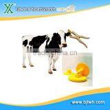 RFID Animal Ear Tag for Animal, Livestock Animal Tag, Plastic Animal Ear Tag for Pig thumbnail-1