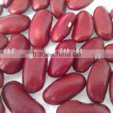 2010 Crop Red Kidney Bean( British Type, Heilongjiang Origin.hps) thumbnail-1
