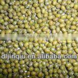 2015 Crop Kidney Bean thumbnail-3