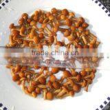 NAMEKO MARINATED thumbnail-1