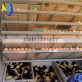 Hot Sale!!! 5000 Egg Incubator Machine Egg Incubator Thailand for Sale