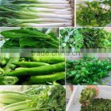 Stainless Steel Vegetable Cutter Machine thumbnail-4