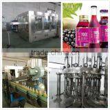 Hot Beverage Filling Machine/Fresh Fruit Juice Filling Machine thumbnail-1