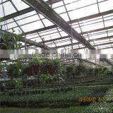 Multispan Tunnel Greenhouse Agricultural Green Houses for Strawberry Grape Raspberry thumbnail-2